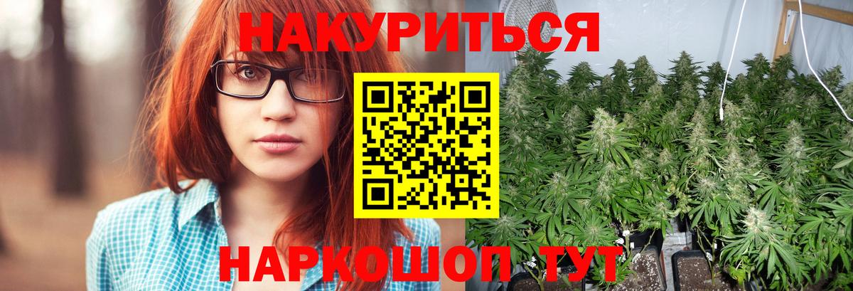 Бошки марихуана конопля Сарапул